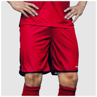 Stanno Altius Shorts (Adult)