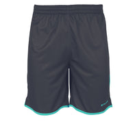 Stanno Altius Shorts (Junior) - Gray
