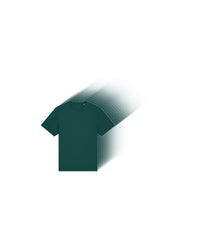 Stanley/Stella Tee Pack in Glazed Green - 25 Sparker 2.0 Heavy T-Shirts