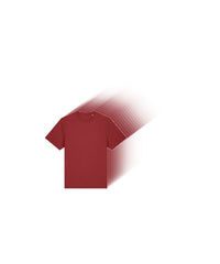 Stanley/Stella Tee Pack in Red Earth - 25 Sparker 2.0 Heavy T-Shirts